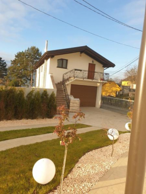 CASA CUJNERU Borşa